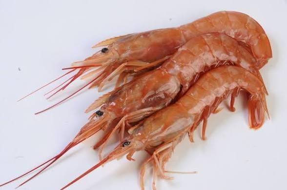 Langostino
